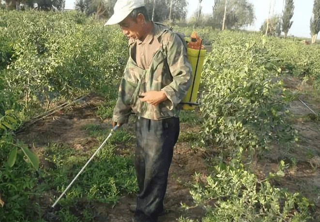 除草劑消泡劑應(yīng)用場景圖