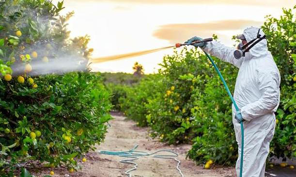 農(nóng)業(yè)消泡劑應用場景圖